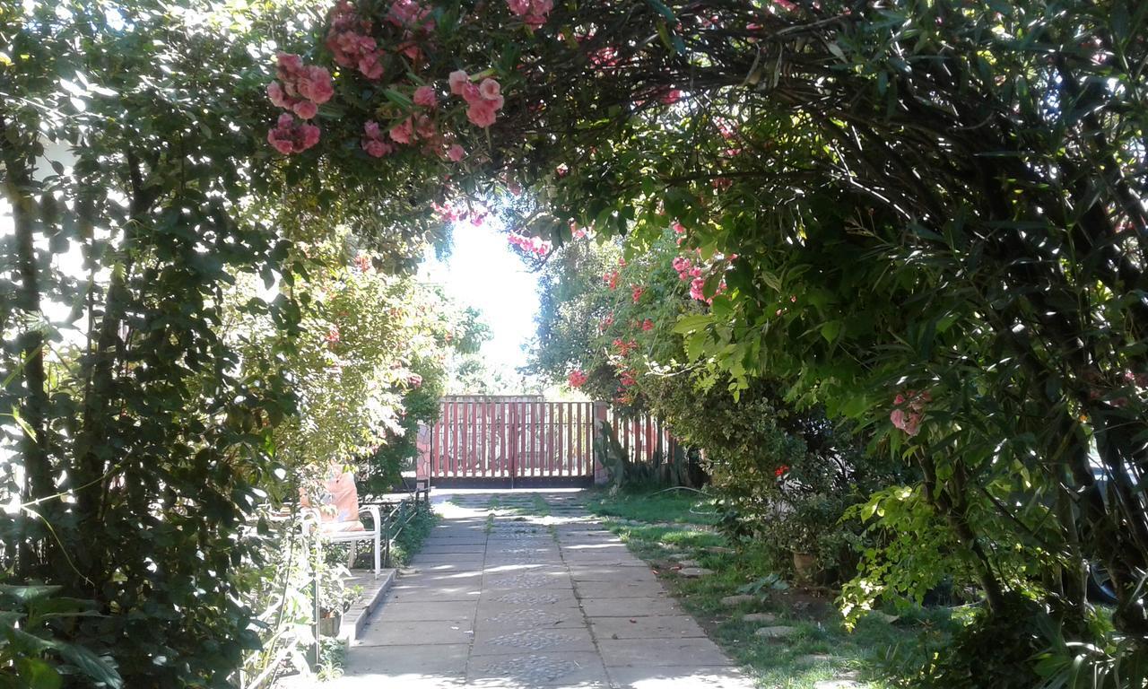 Puerta Del Sol Molina B&B Exterior photo